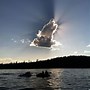 Image result for Animal Cloud Formations