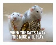 Image result for Rats and Mice Saying