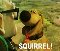 Image result for Dog From Up Squirrel