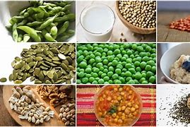 Image result for Plant-Based Protein Foods