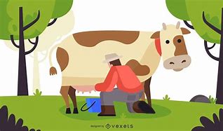 Image result for Dairy Cow Illustration