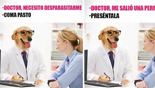 Image result for Dog Doctor Meme