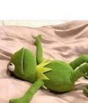 Image result for Kermit Tired