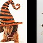 Image result for Colored Pencil Animal Drawings