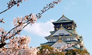 Image result for Osaka Tree
