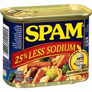 Image result for Spam Can Food