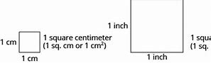 Image result for Inches and Centimeters Worksheet
