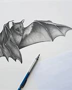 Image result for Bat Drawing Detailed