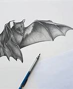 Image result for Pecil Bat
