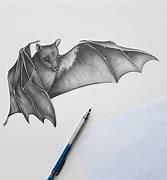 Image result for Fruit Bat Line Drawing