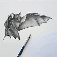 Image result for Pecil Bat
