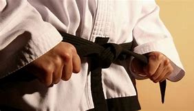 Image result for Aikido Belt Ranks