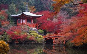 Image result for Kyoto Japan Landscape