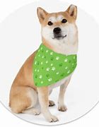 Image result for Top-Selling Etsy Pet Products