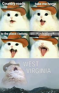 Image result for Funny Country Memes
