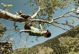 Image result for Hang From Branches