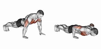 Image result for 28 Day Full Body Workout