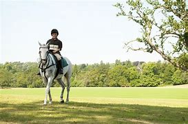 Image result for Ascot Horse Riding