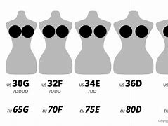 Image result for Us Bra Sizes