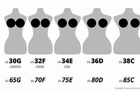 Image result for B and DD Bra Sizes