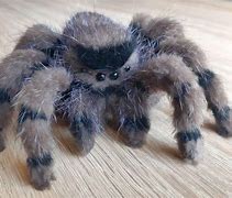 Image result for Fake Spider Toy
