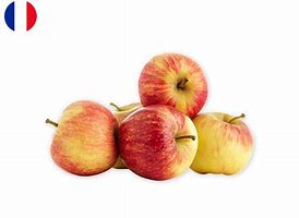 Image result for Gala Apple