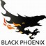 Image result for Phoenix Logo Black White