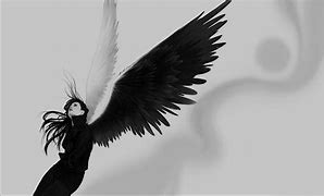 Image result for I AM an Angel with Black Wings