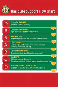 Image result for Basic Life Support Flow Chart