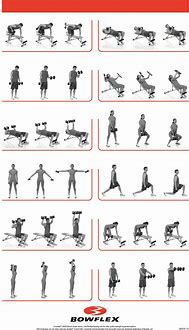 Image result for Bowflex Workout Chart