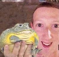 Image result for Frog Punch Meme