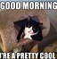 Image result for Good Morning Cat Clip Art