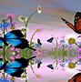 Image result for Free Butterfly Desktop Screensaver