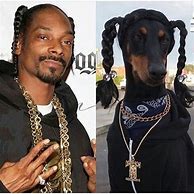 Image result for Snoop Dog Costume