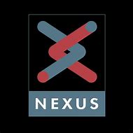 Image result for Blue Nexus Logo