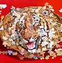 Image result for Animal Illusions