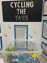 Image result for Creative Science Fair Projects