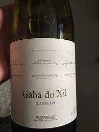 Image result for Telmo Rodriguez Godello Valdeorras Gaba do Xil