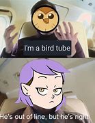 Image result for Bird Tube Meme