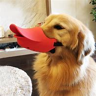 Image result for Funny Dog Muzzles