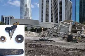 Image result for Miami 7000 Year Old
