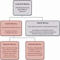 Image result for Neatly Labeled Diagram Showing the Memory Process