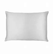 Image result for Silk Pillowcase