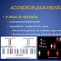 Image result for acpndroplasia