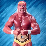Image result for Hulk Hogan Costume