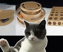 Image result for Cardboard Cat Toys