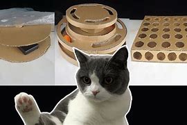 Image result for DIY Interactive Cat Toys