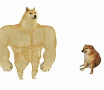 Image result for Animated Dog Meme
