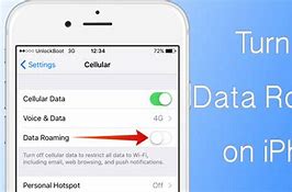 Image result for How to Turn On International Roaming iPhone
