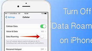 Image result for Data Roaming Off iPhone